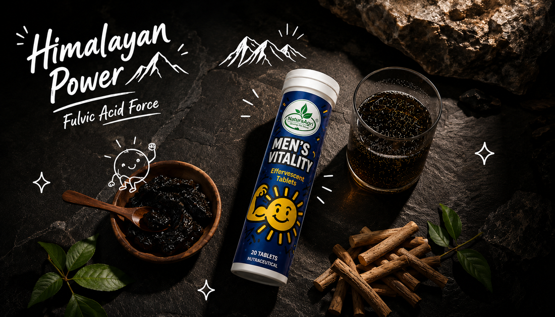 Shilajit Benefits Explained: The Complete Science-Backed Guide to Ayurveda's Most Powerful Men's Herb